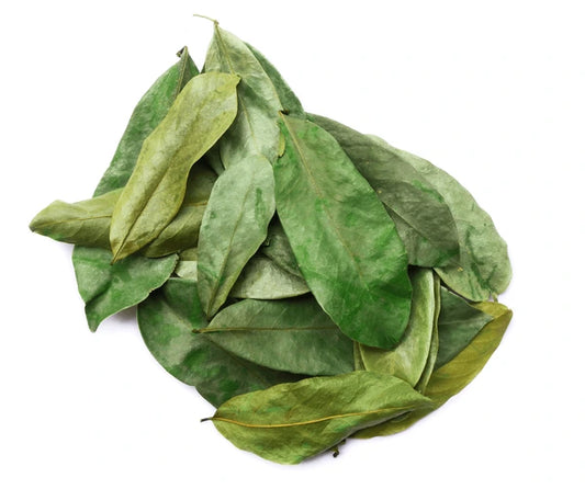 SourSop Leaves