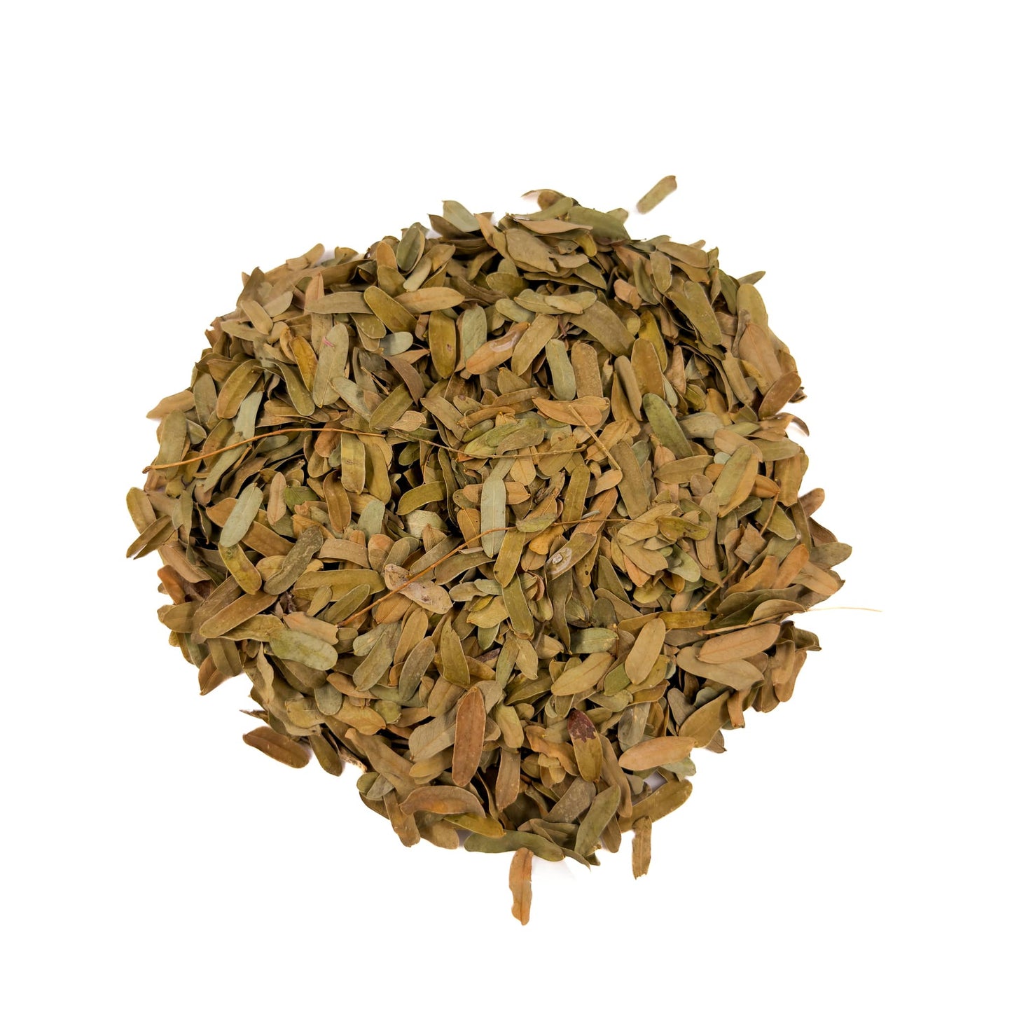 Tamarind Leaves