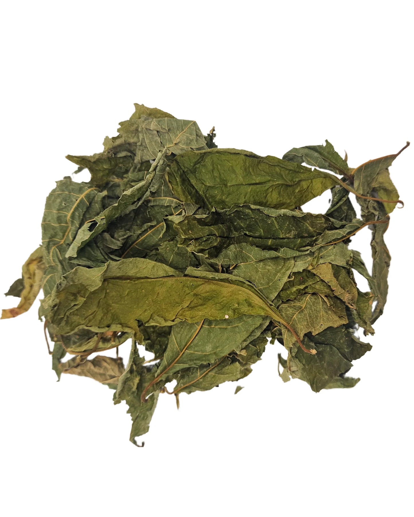 Guinea Hen Weed