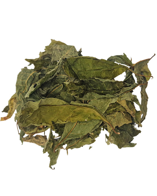 Guinea Hen Weed
